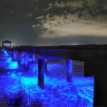 dock-lighting-blue